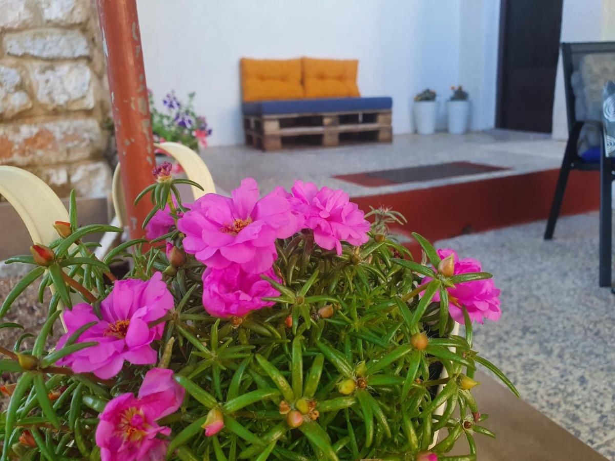 Apartman Bake Milke Senj  Exterior foto